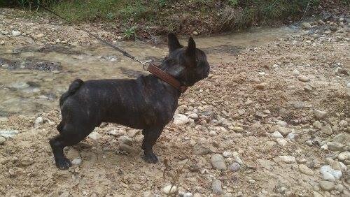 PHOTOS DE FIONA ET SON FILS HEROS